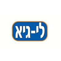 לי גיא